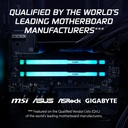 Kingston Fury Beast 64GB (2x32GB) DDR5 6400MT/s CL32 (AMD Expo & Intel XMP 3.0) Memory Kit