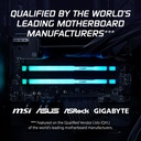 Kingston Fury Beast RGB 32GB (2x16GB) DDR5 6000MHz CL30 Memory Kit - Black