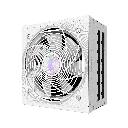 Gigabyte Aorus Elite AE1000PM PG5 ICE 80+ Platinum Fully Modular ATX 3.1 & PCIe 5.1 1000W Power Supply