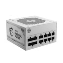 MSI MEG A850GL 80PLUS GOLD 850W Cybenetic ATX 3.1 PCIe 5.1 Ready Power Supply -White