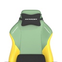 DXRacer Drifting Series XL Gaming Chair - Spring