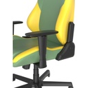 DXRacer Drifting Series XL Gaming Chair - Spring