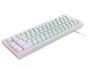 CHERRY XTRFY K5 COMPACT RGB Mechanical Gaming Keyboard - White