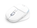 Logitech G705 Customizable Light synch RGB Lighting, Lightspeed Wireless/Bluetooth/Wired Lightweight Gaming Mouse For PC & Mac - White Mist