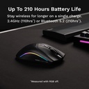 Glorious Model O2 Mini Ultralight Ambidextrous RGB Wireless Gaming Mouse 57g 26,000 DPI - Black