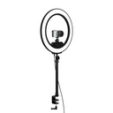 Elgato Ring Light Premium 2500 Lumens Light with Desk Clamp and Ball Mount