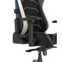 DXRacer Master XL Gaming chair, Faux leather, 4D Ergonomic Lumbar Support, Heavy-Duty Multi-Functional Tilt Mechanism - Black & White