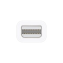 Apple Thunderbolt to FireWire Adapter