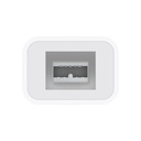 Apple Thunderbolt to FireWire Adapter