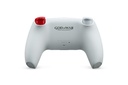 PS5 DualSense Wireless Controller God of War 20th Anniversary Limited Edition