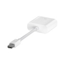 Apple Mini DisplayPort To DVI Adapter