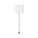 Apple Mini DisplayPort To DVI Adapter